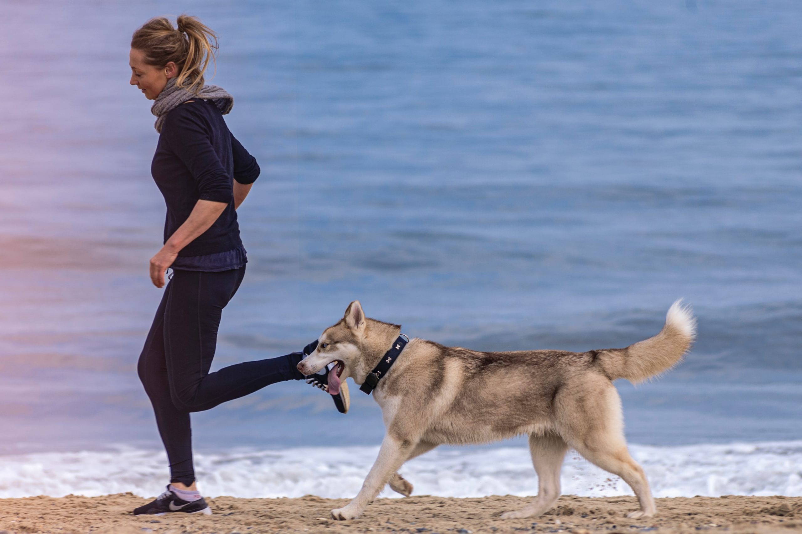 Running with a dog